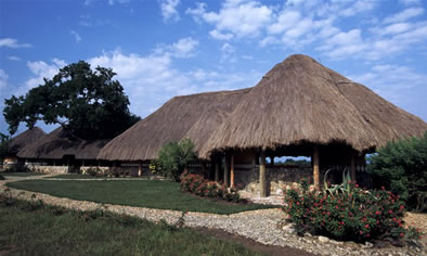 Luxury Accommodation Lodge